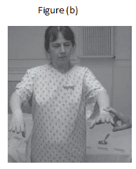 A woman in an apron is holding something.